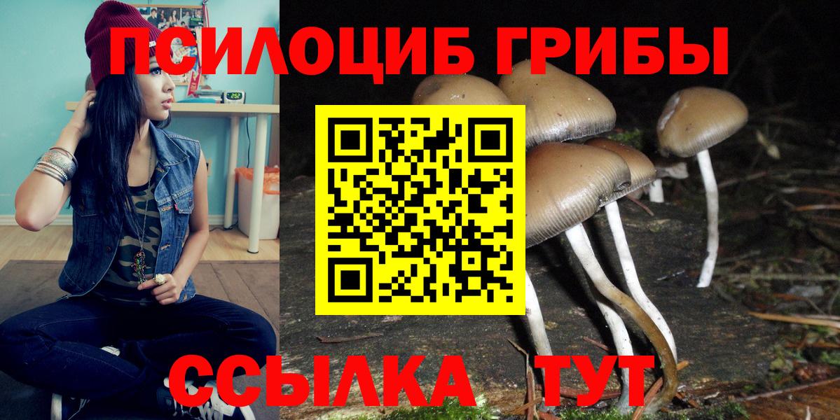 Псилоцибиновые грибы прущие грибы Алатырь