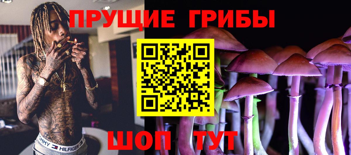 Псилоцибиновые грибы прущие грибы  Галлюциногенные грибы ЛСД  Алатырь 