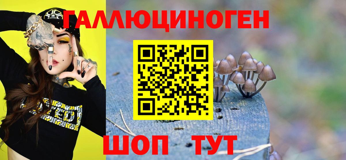 продажа наркотиков  Вход с VPN  Алатырь  Псилоцибиновые грибы GOLDEN TEACHER 