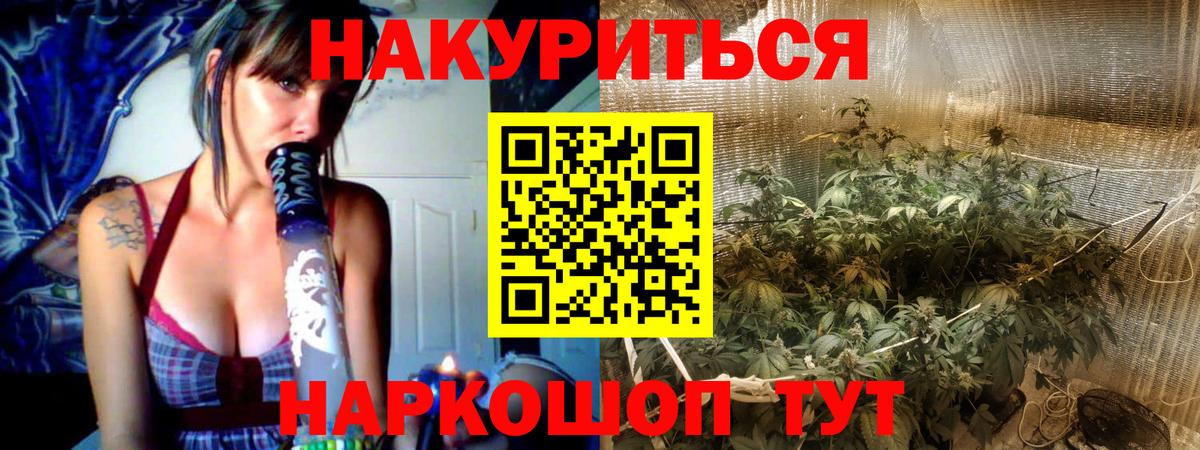 Канабис сатива Алатырь